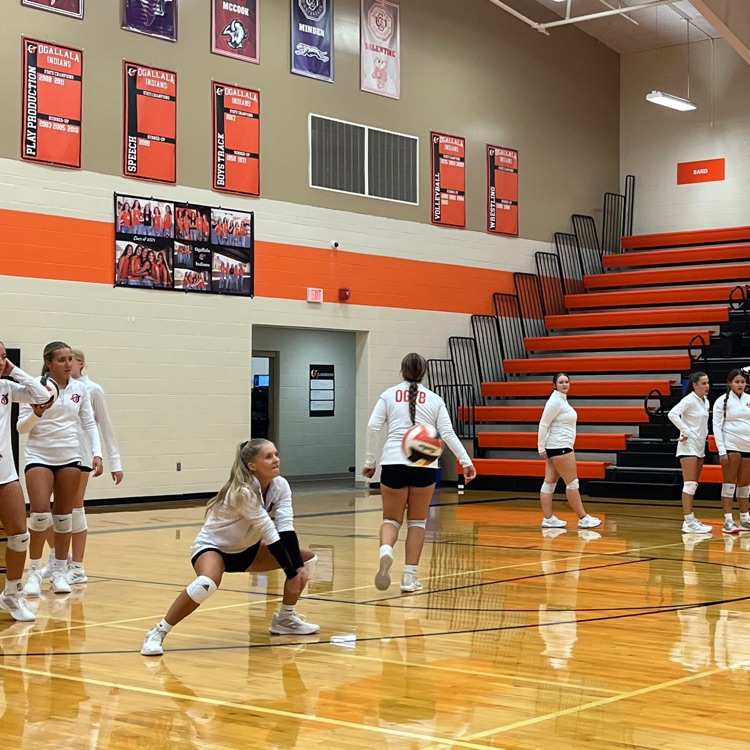 Volleyball