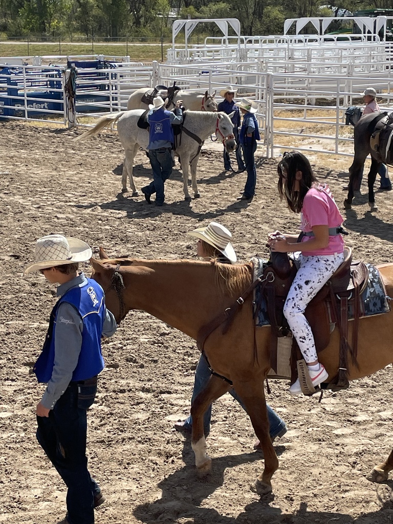 round up rodeo